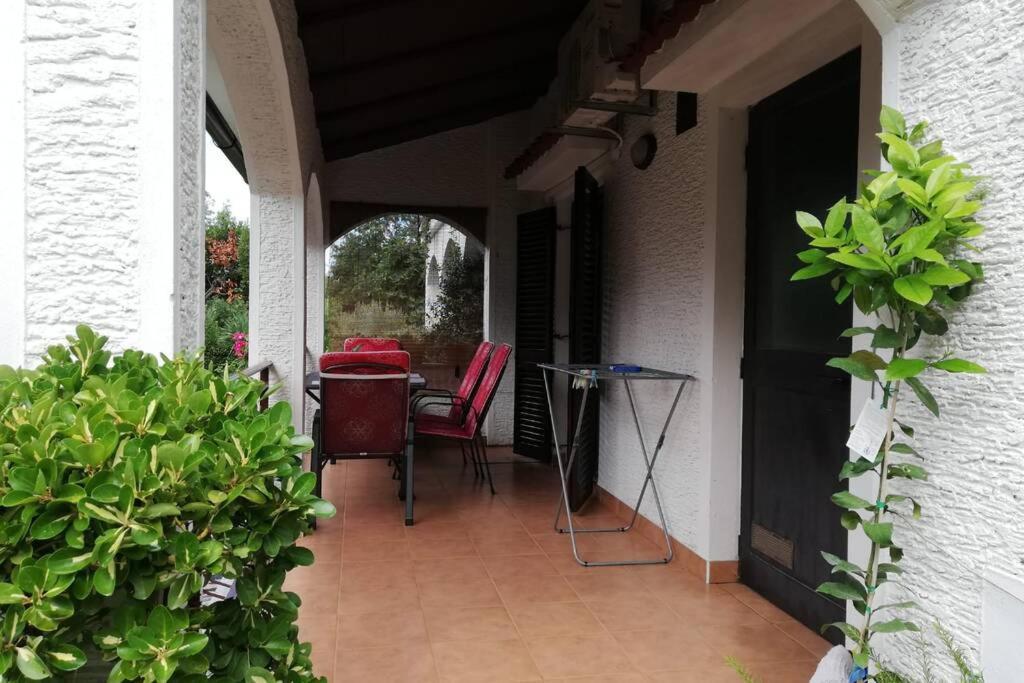 Apartment Tripar, Porec Apartment